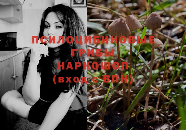 Альфа ПВП Белокуриха