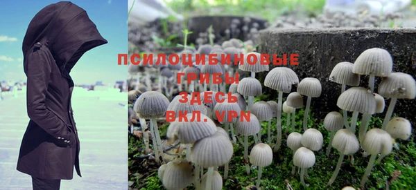 герыч Богородск