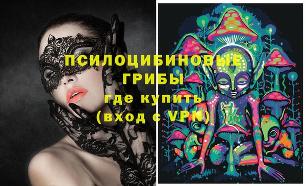 Альфа ПВП Белокуриха
