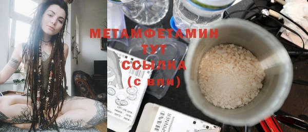 индика Богданович