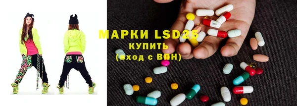 индика Богданович